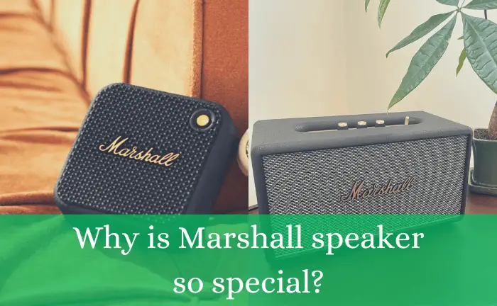 Why is Marshall speaker so special?